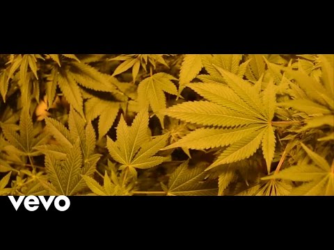 CaliaJah - Fuma Mota (Video Oficial)
