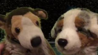 Webkinz Music Video - Habits by Jason Reeves