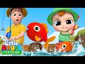 1 2 3 Joãozinho Conta Peixinhos Canal Do Joãozinho Little Angel Português