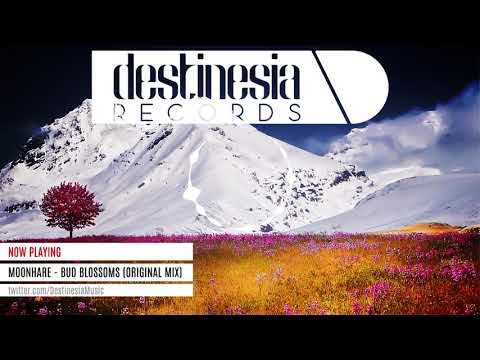 MoonHare - Bud Blossoms (Original Mix)