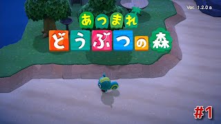 【あつまれどうぶつの森】真夜中のメーデーツアー…サイレント（ネタバレ注意）