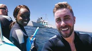 SWIMMING WITH SEALS AND DOLPHINS!