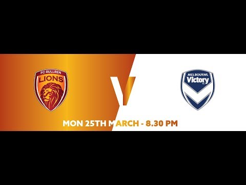 2019 NPL2 East Round 6 - FC Bulleen Lions vs Melbourne Victory