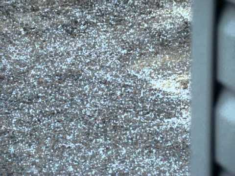 download lagu mp3 mp4 Small Balls Of Ice, download lagu Small Balls Of Ice gratis, unduh video klip Small Balls Of Ice