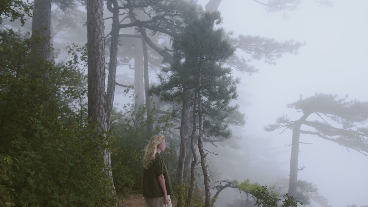 Alone Girl In Jungle Enjoying Fog - No Copyright Video - Free Stock Footage