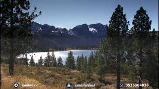 صورة حكم توريد الشفايف || فتاوى عامة || د. سامي الواكد