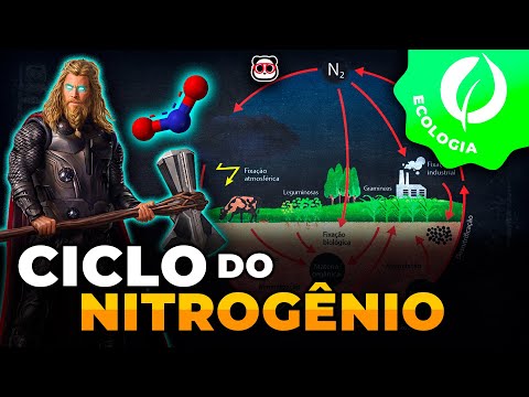 Ciclo do Nitrogênio