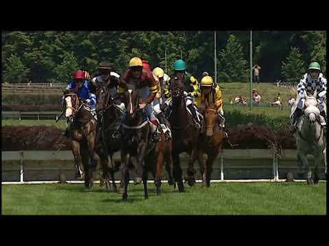 PE, 26. 5. 2018, 1. dostih - Cena vítězů Velké pardubické