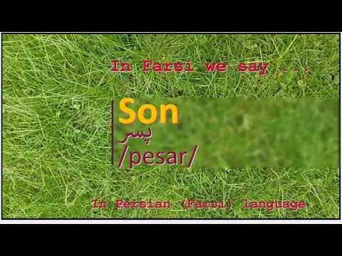 The meaning of Son in Persian or Farsi پسر pesar
