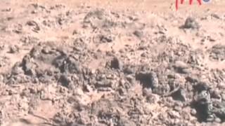 Download lagu 10 AMBOHIPO mp3