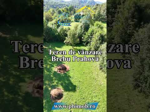Teren intravilan de vanzare, Brebu Prahova — Video