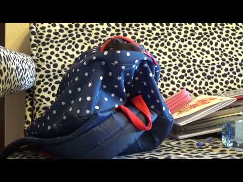 Hide and seek with a cat #cat #games #play #blackpanther #funnyvideo #funny #childsplay #cats #love