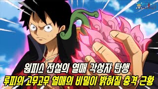[원피스]연재 25년만에 고무고무 열매의 충격적 비밀이 밝혀지며 전설의 열매 각성자로 탄생할 루피 현재 근황...