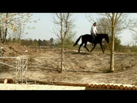 Mustang makeover 2017, Germany mit Thomas Günther