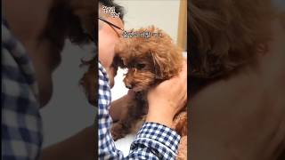 2번 파양된 강아지에게 숨겨진 놀라운 비밀!