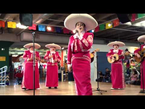 Mariachi Flor de Jalisco - El Herradero
