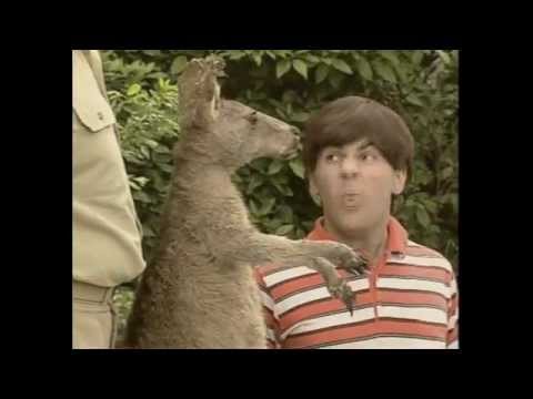 [FAST FORWARD] Skippy - Skippy and the White Slave-Traders