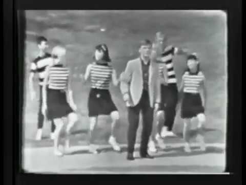 The Joker Went Wild - Brian Hyland