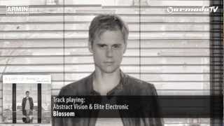 Abstract Vision & Elite Electronic - Blossom