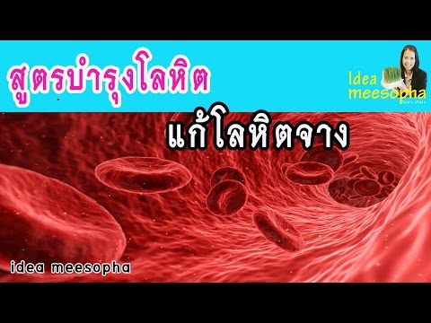 ค้อนพรูพรูสทิ สตรีเชื้อโรคฟอรั่ม