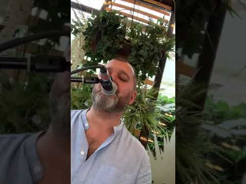 Ispas Romeo - Fly me to the moon cover