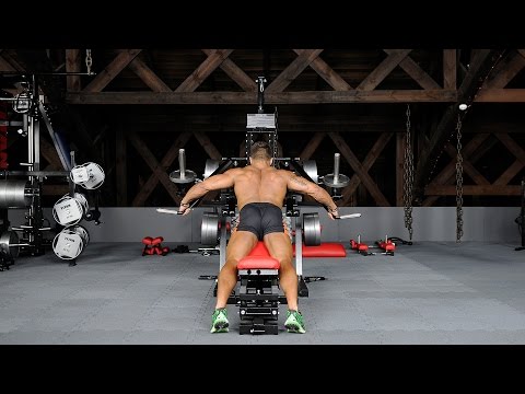 Lever Rear Lateral Raise (on lateral raise machine)