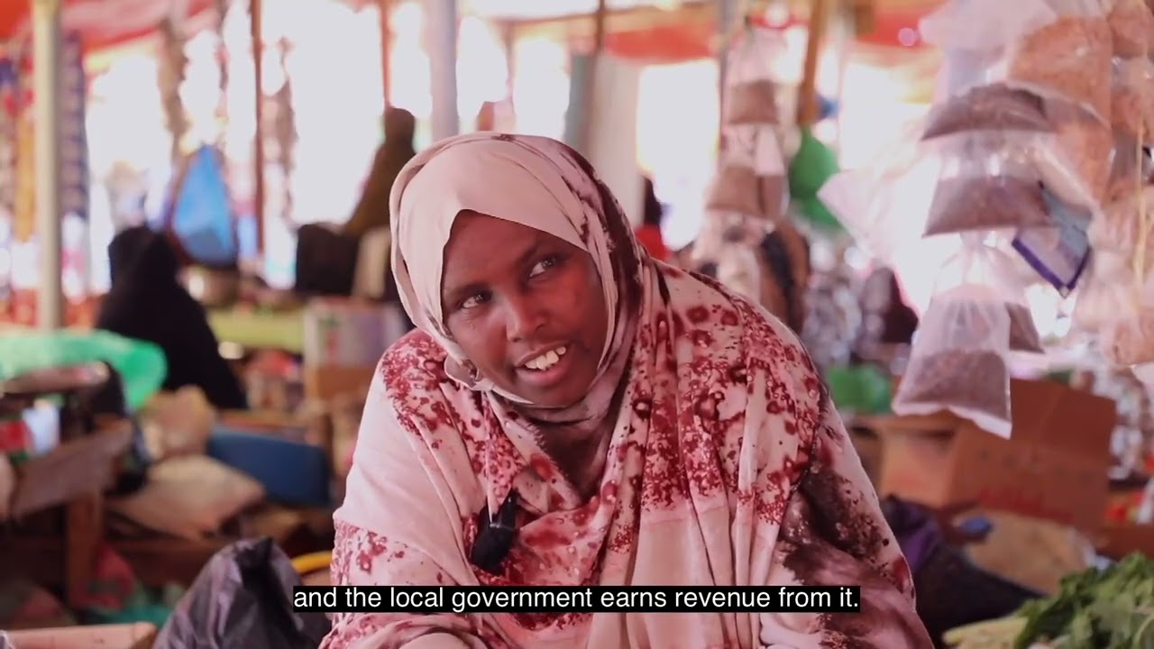 Two decades of local governance in Somalia