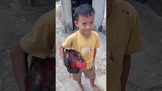 Download lagu bocah ngajak ngadu ayam😁 #fyp  #fypシ゚viral #ayam mp3