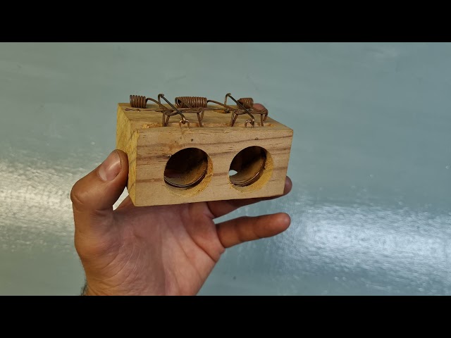 Vídeo relacionado con HEINWERT Trampa Para Ratones en Vivo con Depósito de Agua + Caja de Cebo para Ratones + Ventilación. Ratoneras para Ratones con Salida de Liberación Rápida sin Contacto. 2 Juegos de Cepos para Ratones
