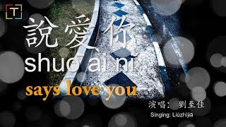 說愛你 / shuō ài nǐ / says to love you With PINYIN And Lyrics