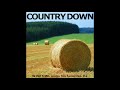 Beck - Country Down (Reggae Version)
