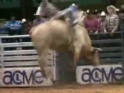 Jim Sharp vs. Bodacious.