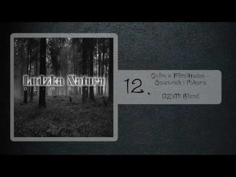 12. Golin x Flint & Hades - Szacunek i Pokora (DZiMi Blend) [Ludzka Natura] 2017