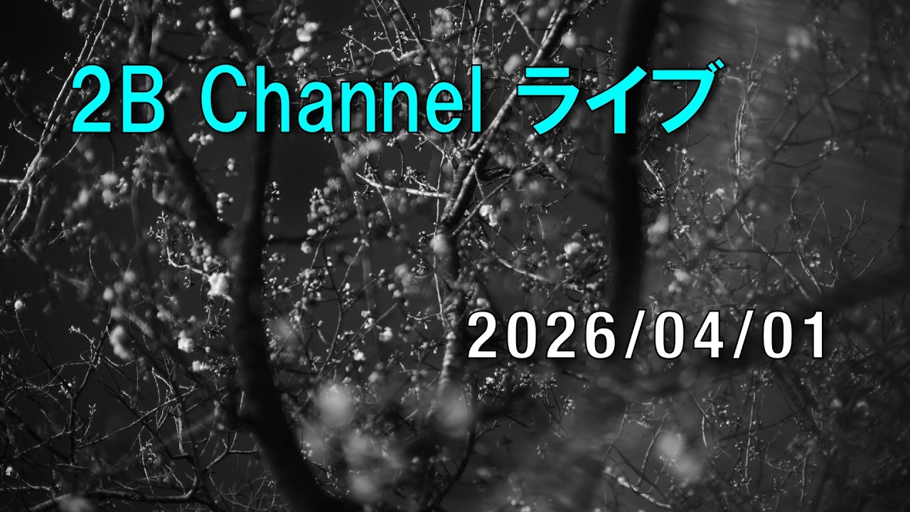 写真賞各賞発表・写真集『チョータンタン』