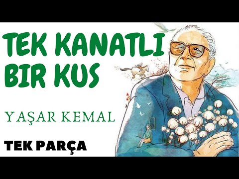 Yaşar Kemal / Tek Kanatlı Bir Kuş ( Tek Parça ) Sesli Kitap