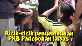 Download lagu ricik penyembuhan Ebeg PANCA KRIDA BUDAYA Padepokan lawas live karteng part8 mp3 Download lagu ricik penyembuhan Ebeg PANCA KRIDA BUDAYA Padepokan lawas live karteng part8 mp3