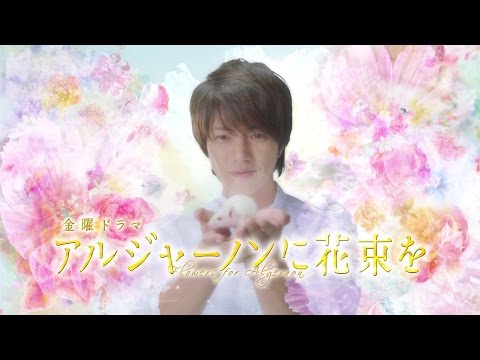 [Vietsub/Kara] The Rose - Bette Middle - Algernon ni Hanataba wo (2015) theme song