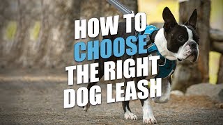 How To Choose the Right Dog Leash