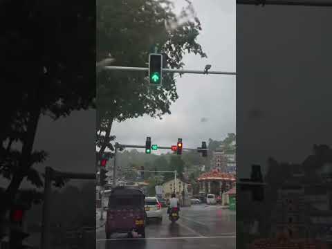 Welcome zakee #movie #arrahman #entertainment #travel