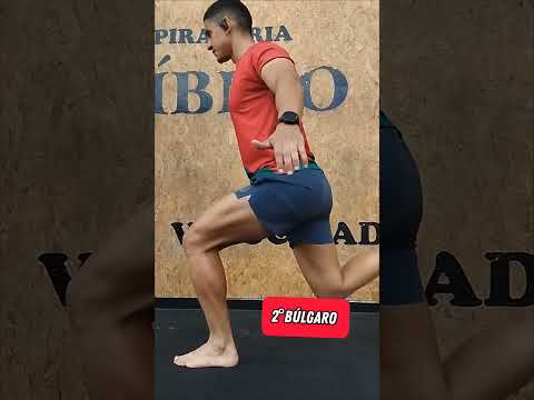 3 DICAS IMPORTANTES!