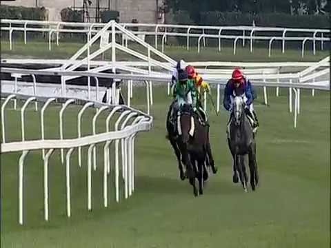 2016.10.22 Premio Campobello (ITA) - Ground Rules