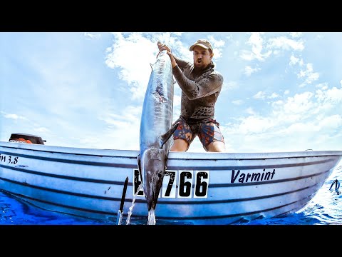 Small Boat BIG FISH & Sharks Everywhere - Ep 167