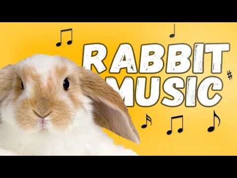 10 Hours of Relaxing  Music for Rabbits ♬ Relaxing Music, Sleep Music, Peaceful Music
