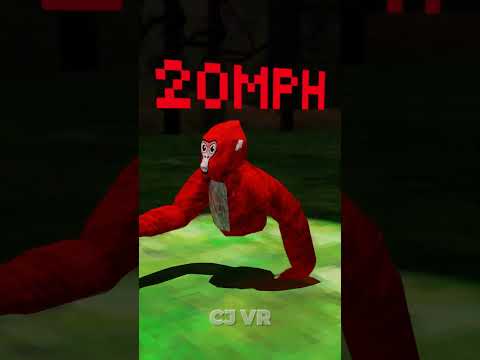 How Fast is a Gorilla from Gorilla Tag?