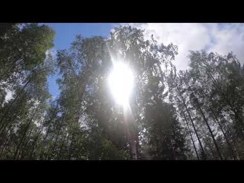 Marinko Grubešić - Hoću da budem svet