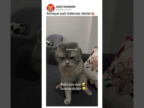 Anneye pati kalkmaz derler😂
