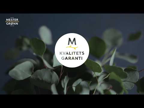 Kvalitetsgaranti på alle blomster og planter