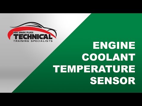 NTK - Engine Coolant Temperature Sensor (ECT)