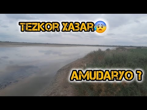 Tezkor xabar Amudaryoda suv yo'q  Amudaryo bo'ylari Afg'oniston va O'zbekiston chegarasi
