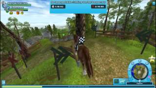 Star Stable Online: Training horses is fun! (not)